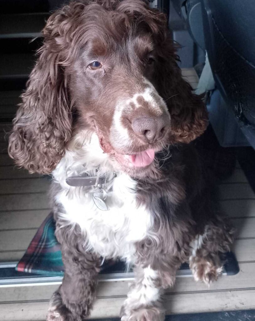 Leo der Garteninspektor